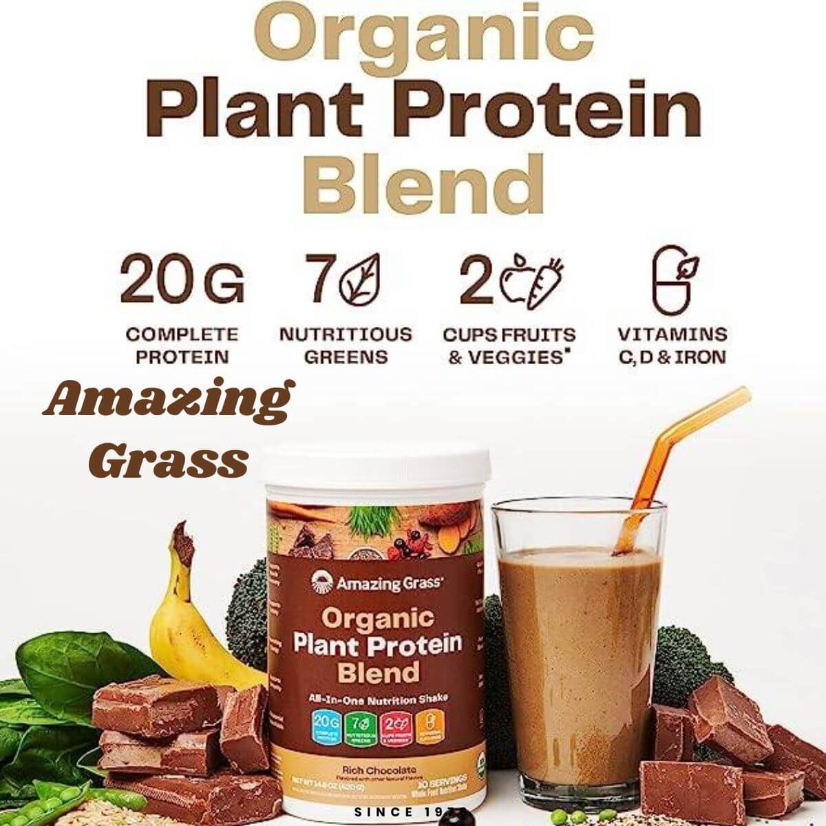 Organic Plant Protein Blend- Women's Top Vegan Protein Powders