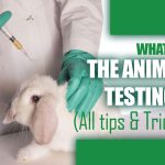 What is the Animal Testing?