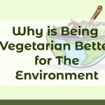Why is Being Vegetarian Better for The Environment?