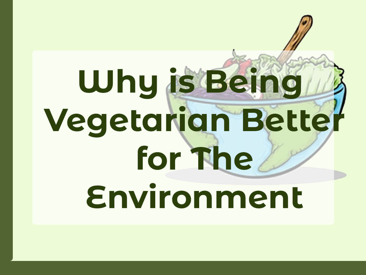 Why is Being Vegetarian Better for The Environment?🌱VEGi1