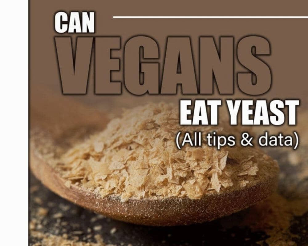 vegans can eat yeast