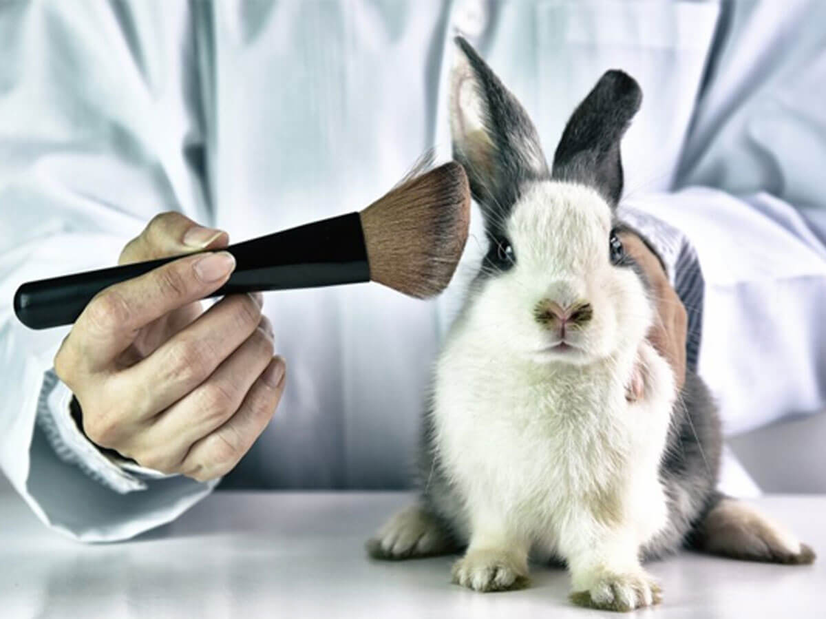 What is the Animal Testing?🌱VEGi1