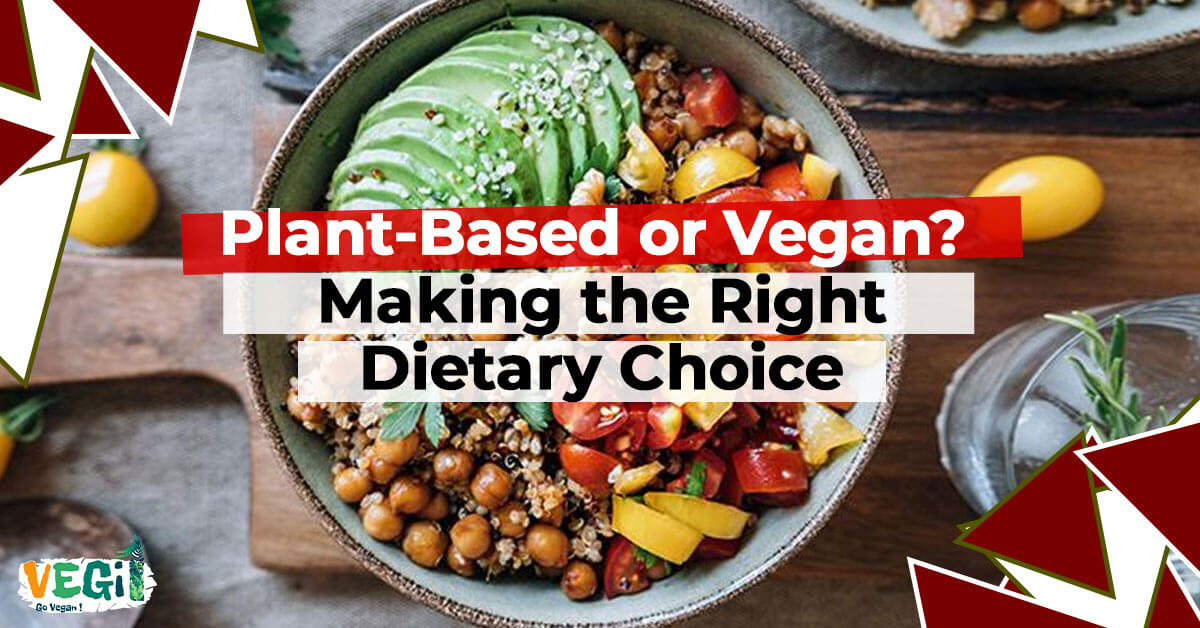 Plant-Based vs. Vegan Diets: Unveiling the Key Differences