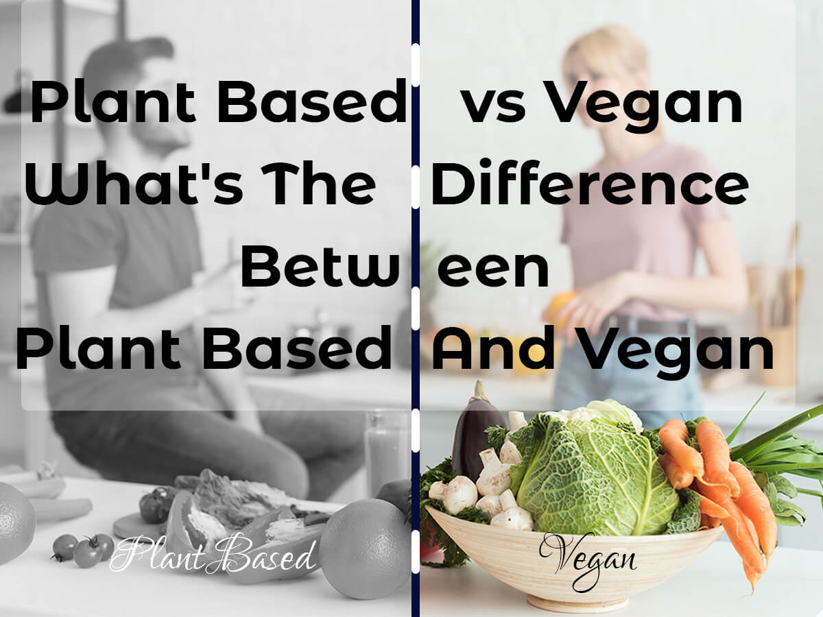 Plant-Based vs Vegan: Understanding the Distinctions | VEGi1