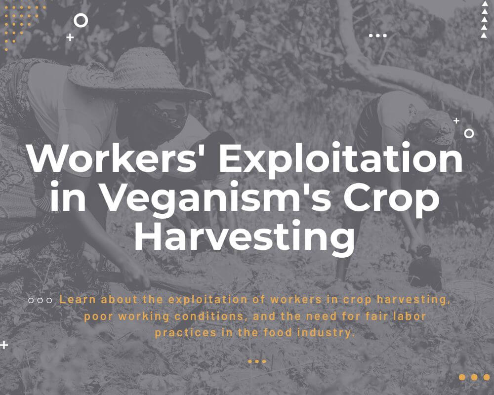 The Human Aspect of Cruelty- Workers' Exploitation in Veganism's Crop Harvesting