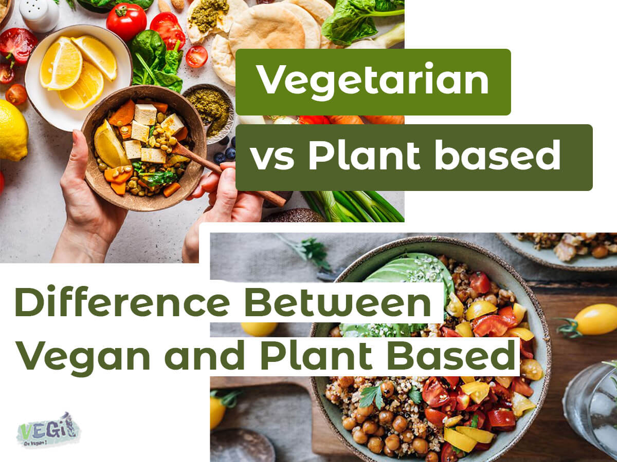 Plant-Based vs Vegan: Understanding the Distinction