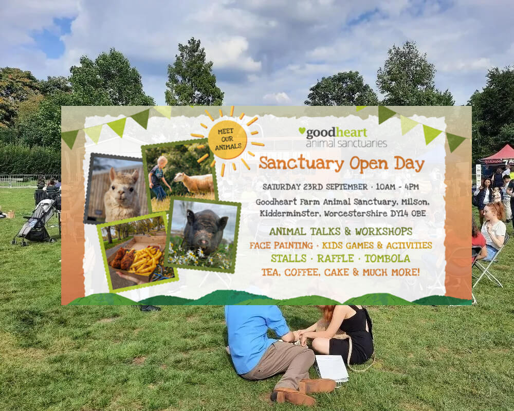 Vegan events 2023- Animal Sanctuary Open Day - September 2023