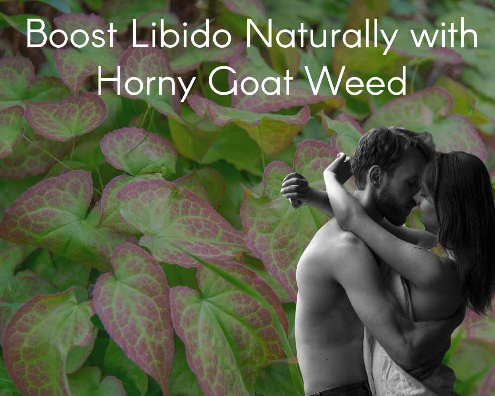 Boost Libido Naturally with Horny Goat Weed | Enhance Your Sexual Health