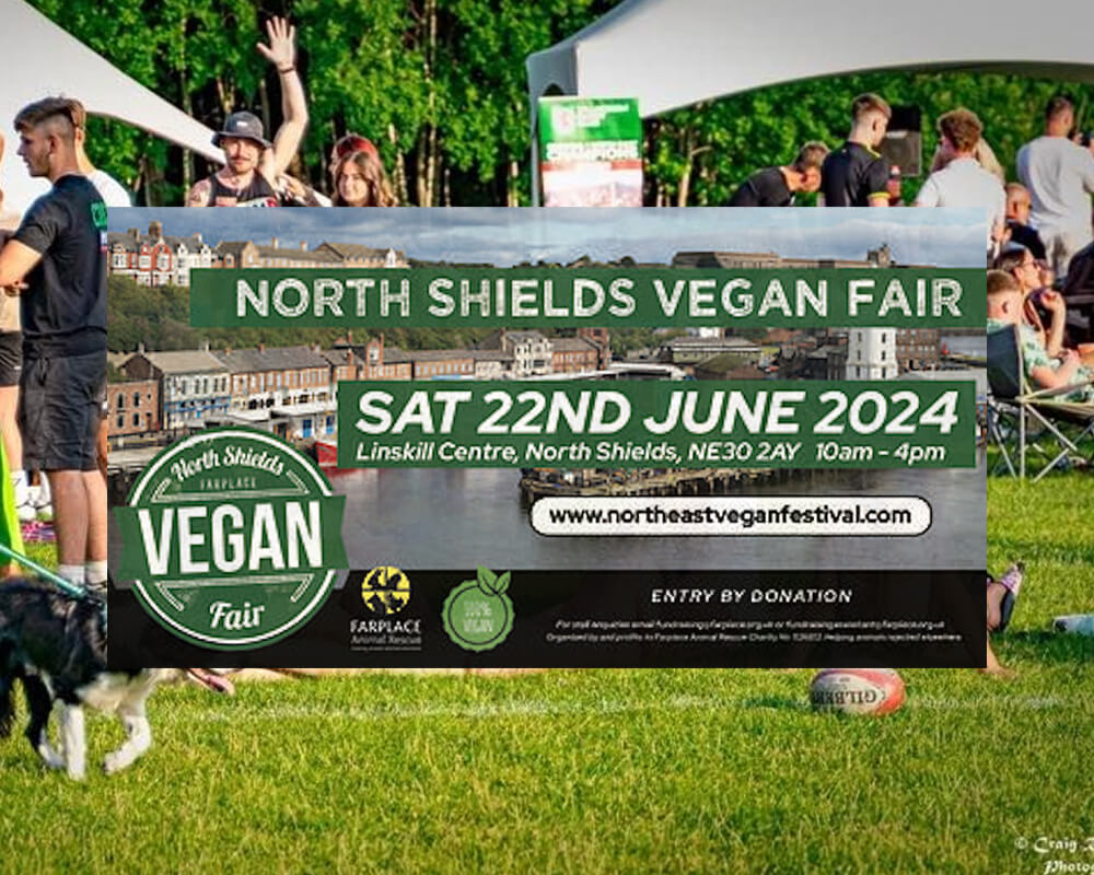 Vegan events 2023- North Shields Vegan Fair - June 2024