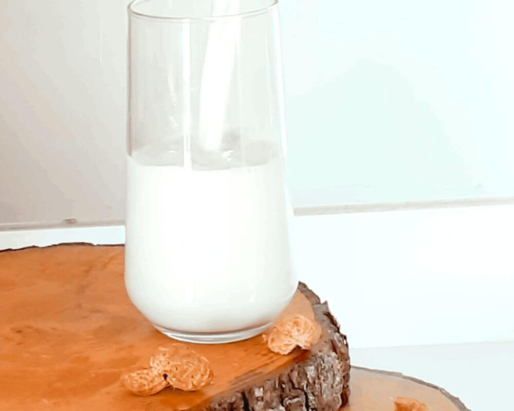 Indulge in the creamy goodness of homemade peanut milk, a vegan-friendly and protein-rich alternative to cow's milk. Perfect for all ages and customizable with natural sweeteners and flavors.