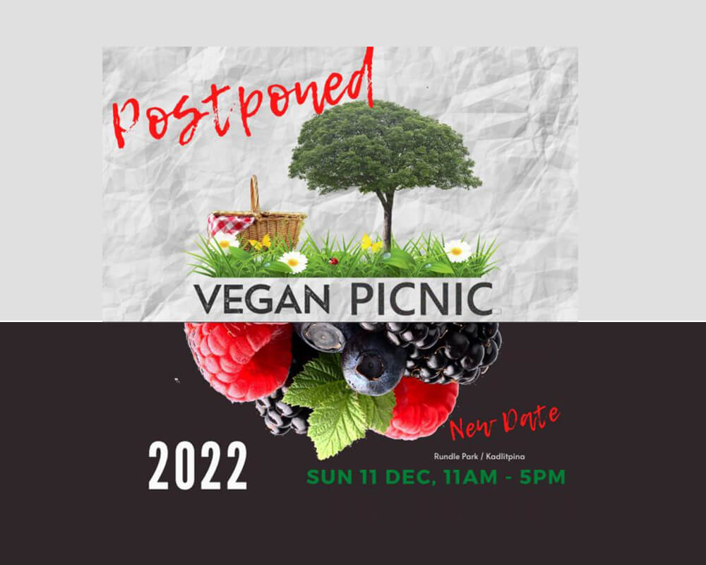 vegan events 2023- Vegan Picnic Adelaide – December 2023