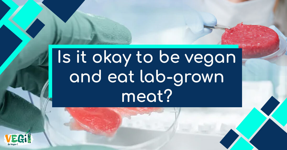 Lab-Grown Meat: A Vegan Perspective | Pros, Cons & Ethics