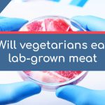 Discover the potential of lab-grown meat from a vegan's standpoint. Explore ethical concerns, environmental benefits, health aspects, and the future of vegetarian diets.