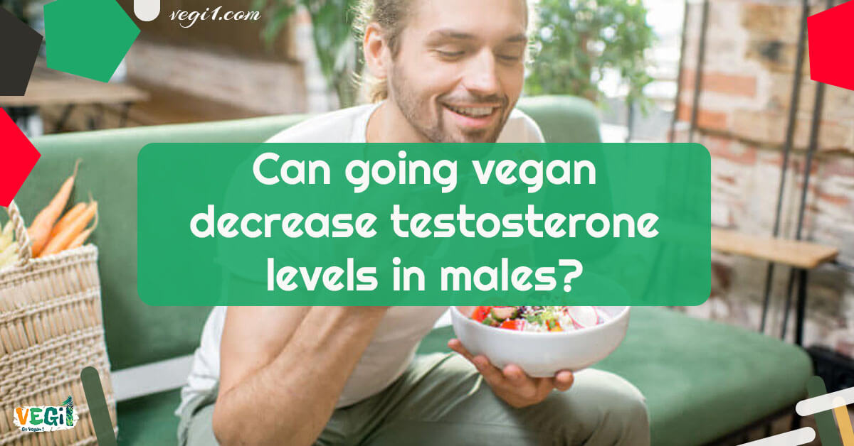 Can going vegan decrease testosterone levels in males?🌱VEGi1