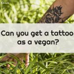 VEGAN TATTOOS: A Complete Guide for 2023