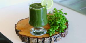 egan Smoothie for Weight Loss, Metabolism Boost, and Fat Burning