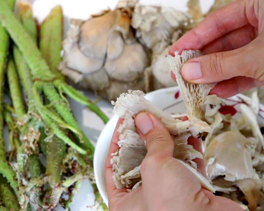Chop the oyster mushrooms by hand.
