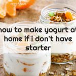 Vegan Yogurt Starter: DIY Yogurt Without a Starter. Make your own vegan yogurt at home, even if you don't have a starter! This easy recipe uses simple ingredients and a few simple steps. Click the link to learn how.