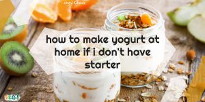 Vegan Yogurt Starter: DIY Yogurt Without a Starter. Make your own vegan yogurt at home, even if you don't have a starter! This easy recipe uses simple ingredients and a few simple steps. Click the link to learn how.