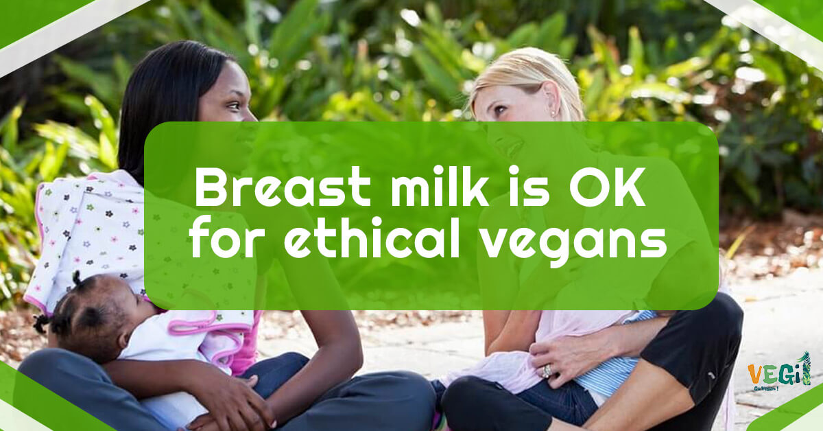 an Vegan Mothers Breastfeed? Yes, and it's safe and beneficial!