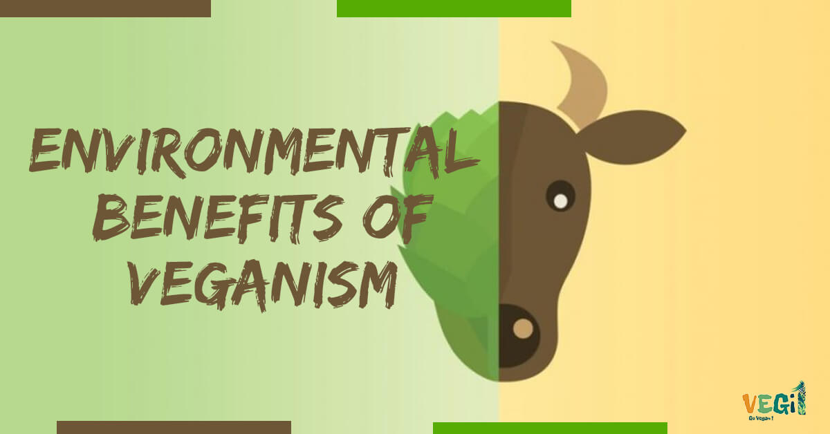 Veganism for the Planet: How Your Diet Can Make a Difference 