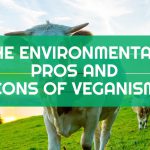 Is a vegan diet better for the environment? See the evidence for yourself in our guide to the environmental pros and cons of veganism.