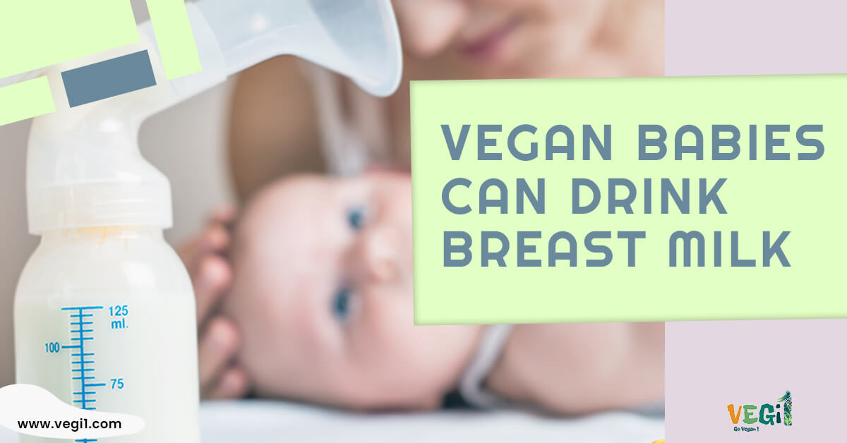 Vegan Breastfeeding: Is it Safe? 