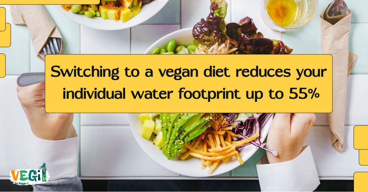Switching to a vegan diet reduces your individual water footprint up to 55%