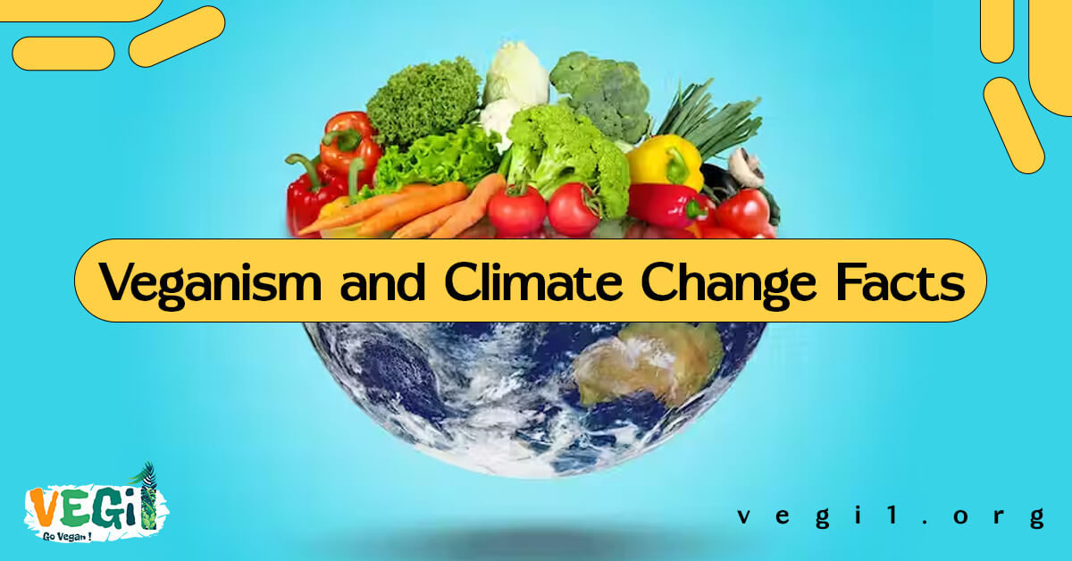 Veganism: The Ultimate Solution to Climate Change