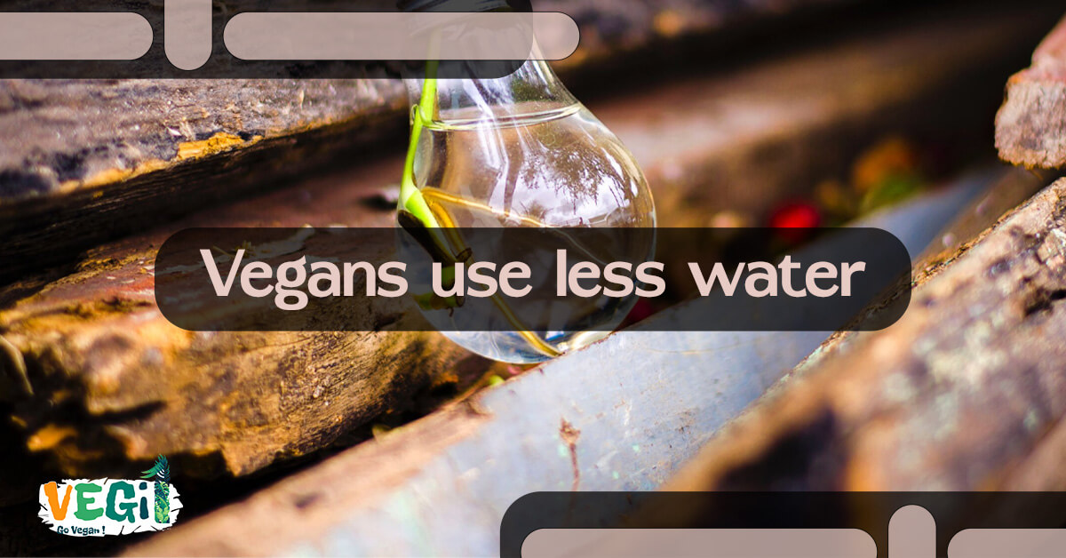 Make a difference for the planet and your health by adopting a vegan lifestyle. Learn how you can conserve water and combat climate change with a plant-based diet.