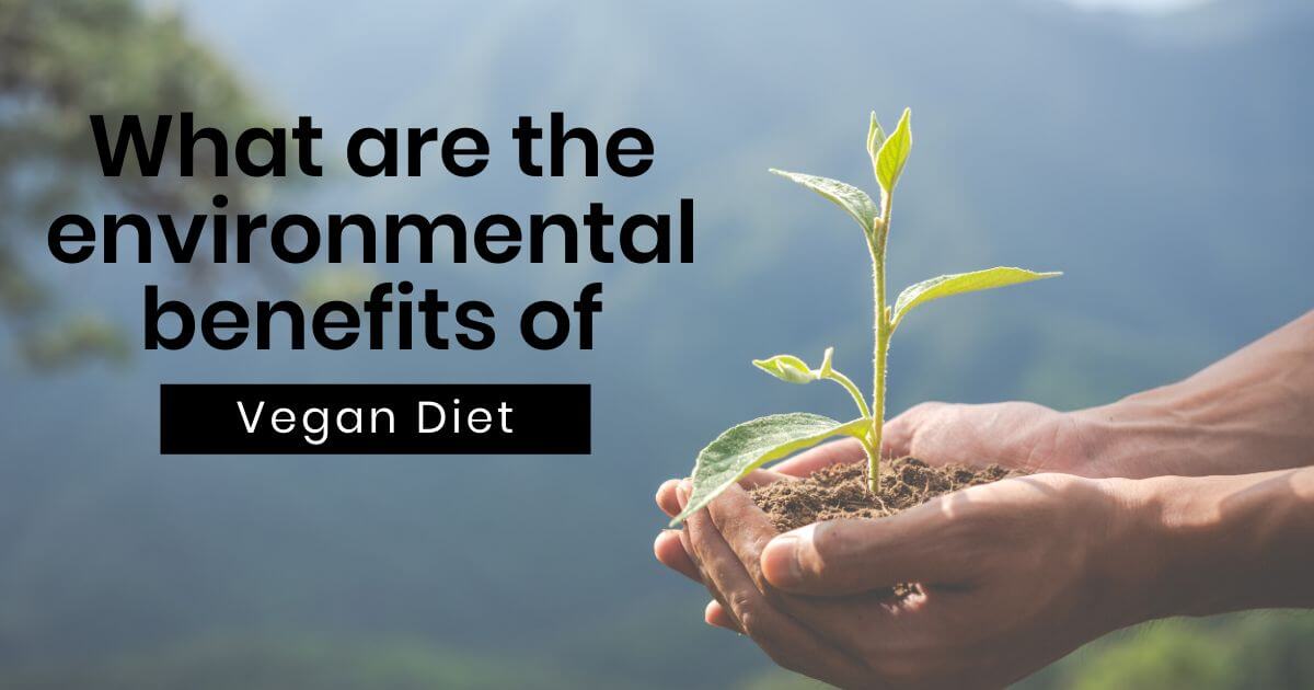 Click to learn more about the environmental impact of veganism and how to make a sustainable transition to a plant-based diet.