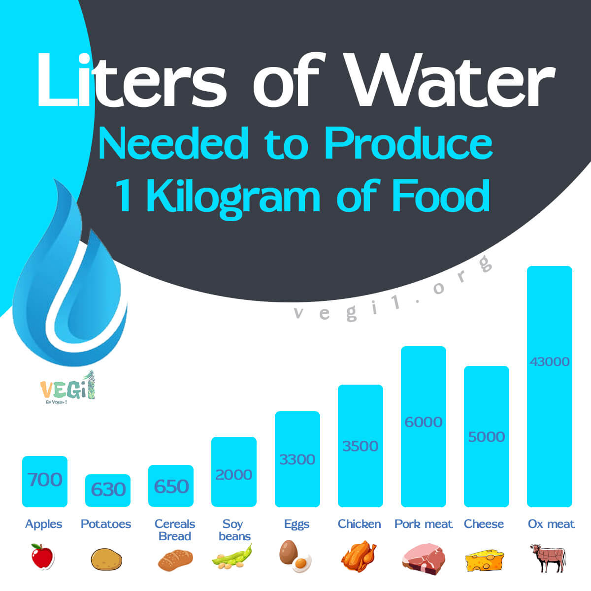 Make a conscious choice and switch to a vegan diet to conserve our precious water resources.