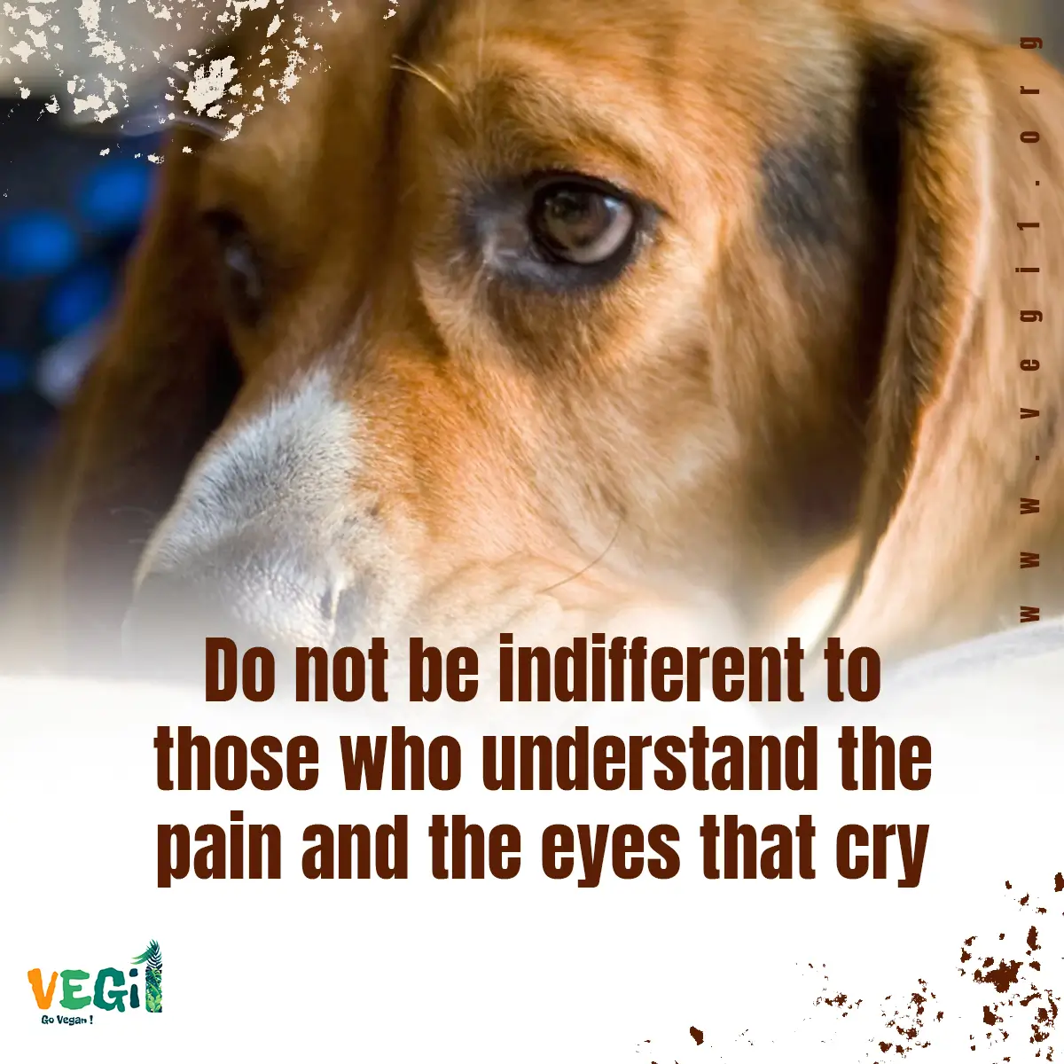 Do not be indifferent to those who understand the pain and the eyes that cry
