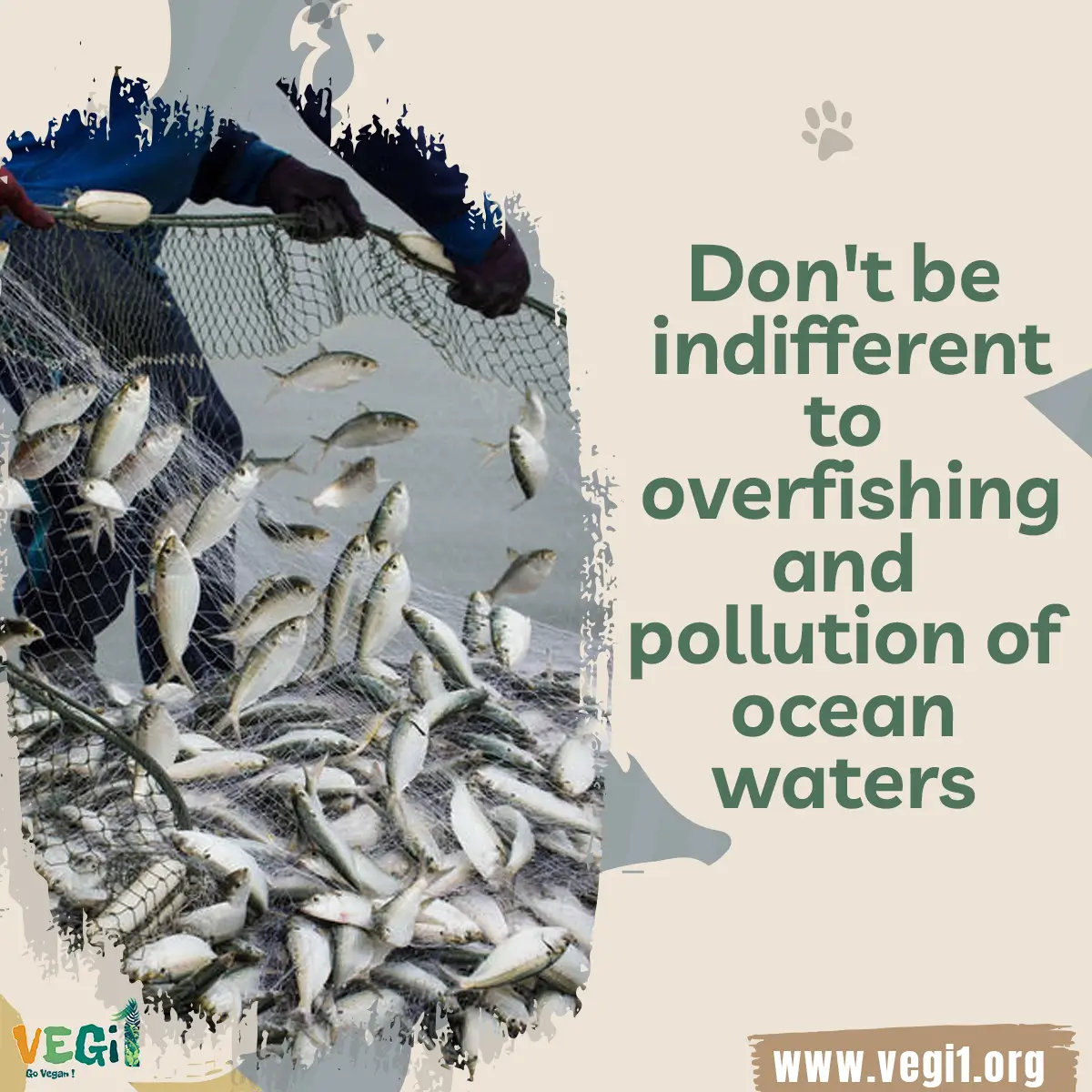 Don't be indifferent to overfishing and pollution of ocean waters