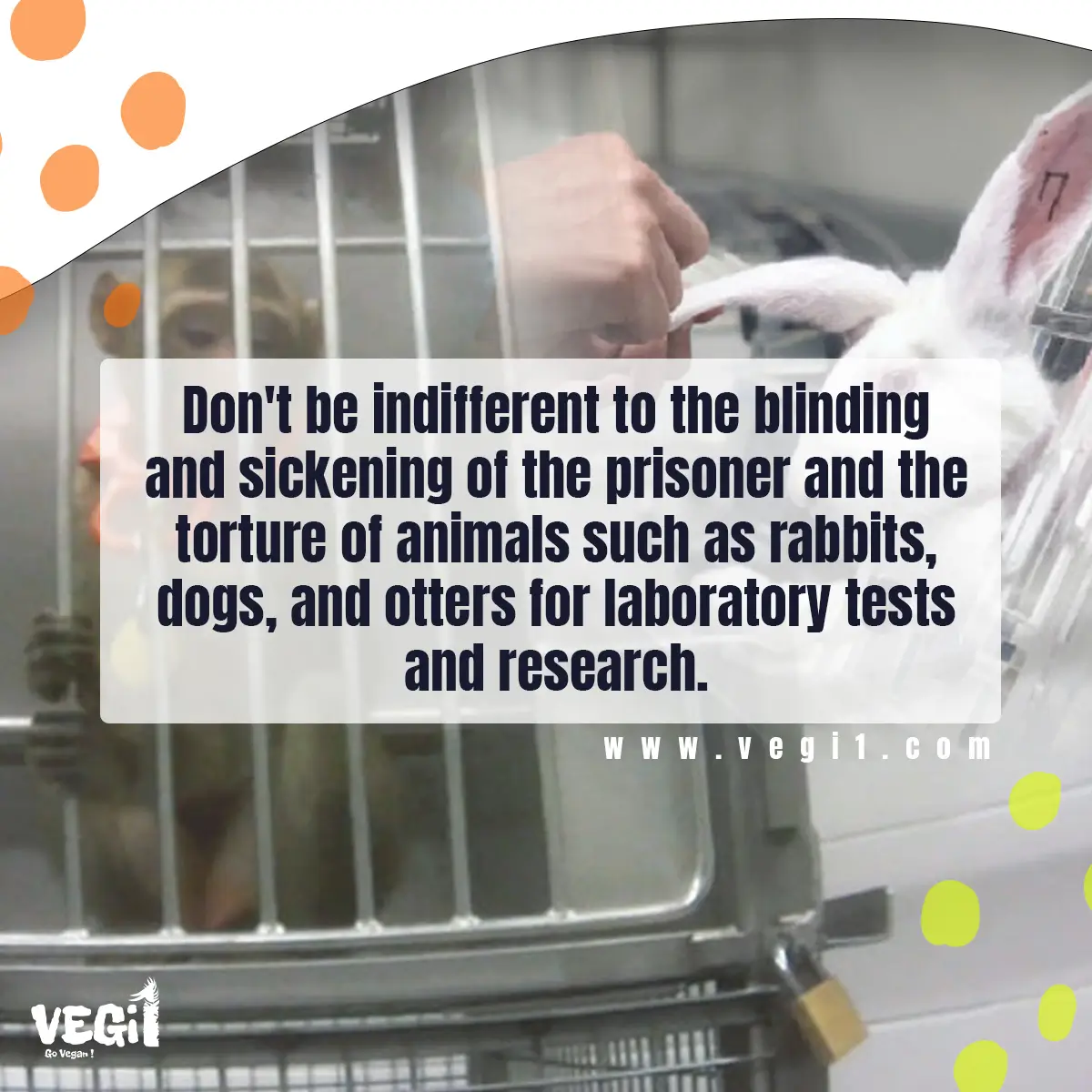 Don't be indifferent to the blinding and sickening of the prisoner and the torture of animals such as rabbits, dogs, and otters for laboratory tests and research.