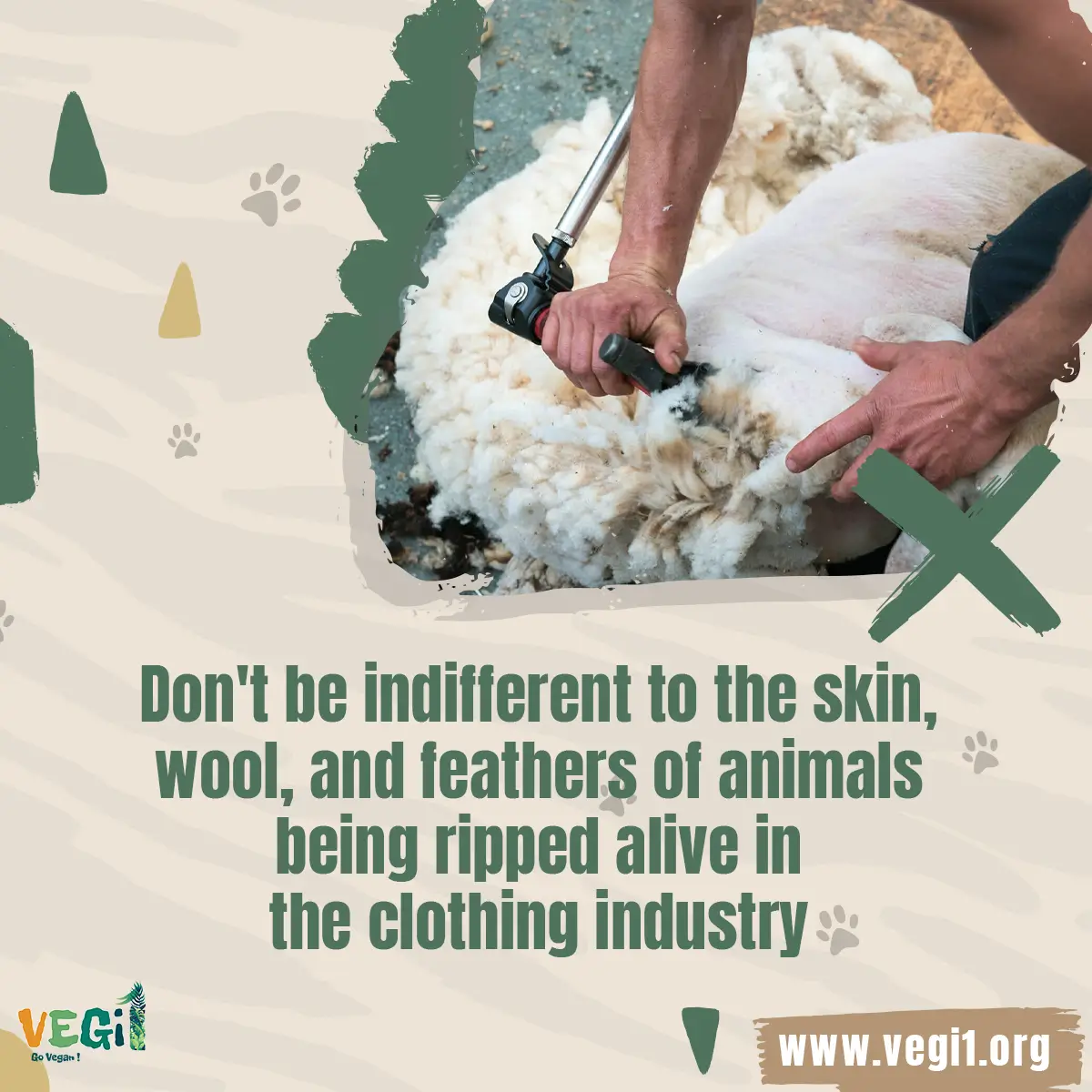 Don't be indifferent to the skin, wool, and feathers of animals being ripped alive in the clothing industry