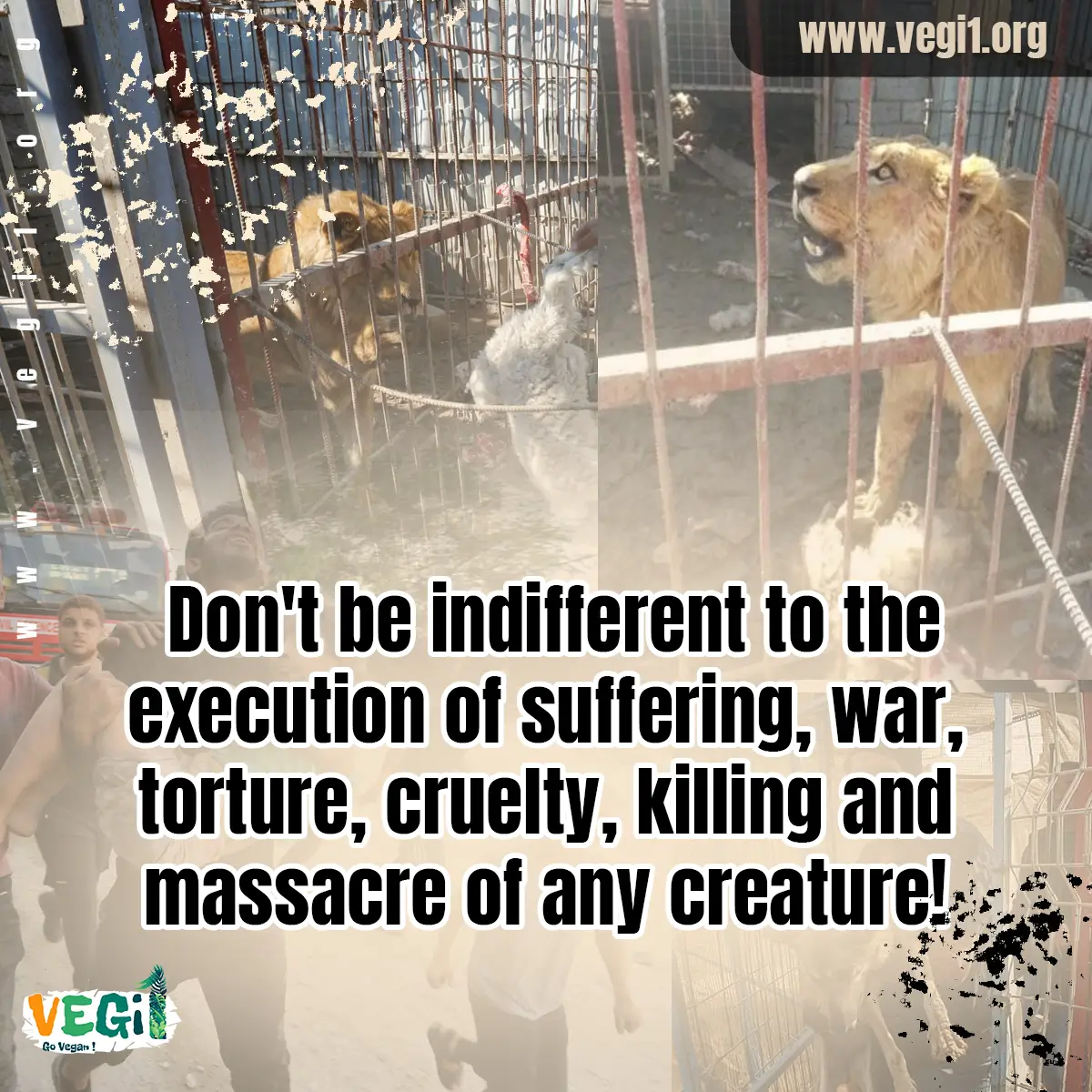 Don't be indifferent to the execution of suffering, war, torture, cruelty, killing and massacre of any creature!