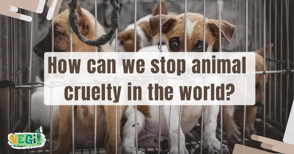 End Animal Cruelty Now: Your Guide to Making a Difference
