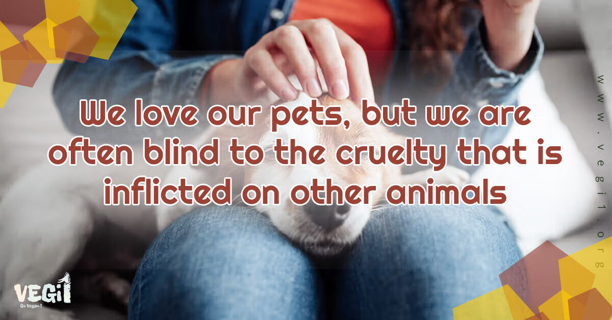 We love our pets, but we are often blind to the cruelty that is inflicted on other animals