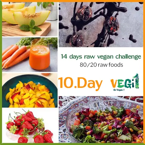 Meals for Day 10 of the 80/20 Raw Vegan Diet Challenge 