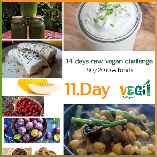 Meals for Day 11 of the 80/20 Raw Vegan Diet Challenge 