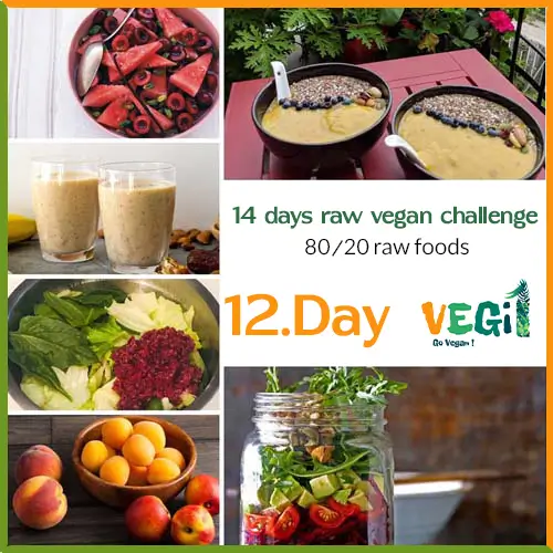 Meals for Day 12 of the 80/20 Raw Vegan Diet Challenge 
