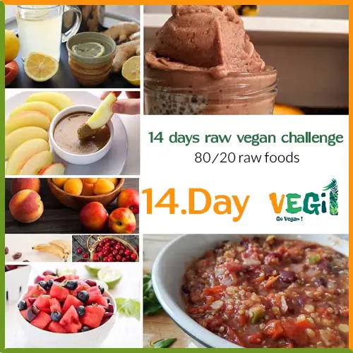 Meals for Day 14 of the 80/20 Raw Vegan Diet Challenge