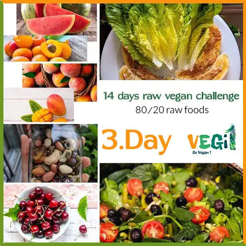 The third day of the 80/20 raw vegan diet challenge3.Day