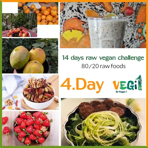 The fourth day of the 80/20 raw vegan diet challenge