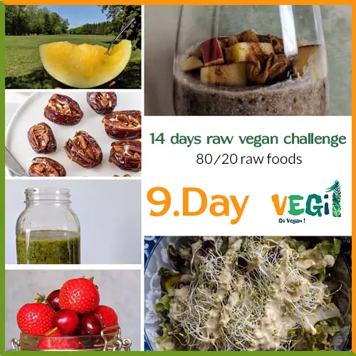 Meals for Day 9 of the 80/20 Raw Vegan Diet Challenge 