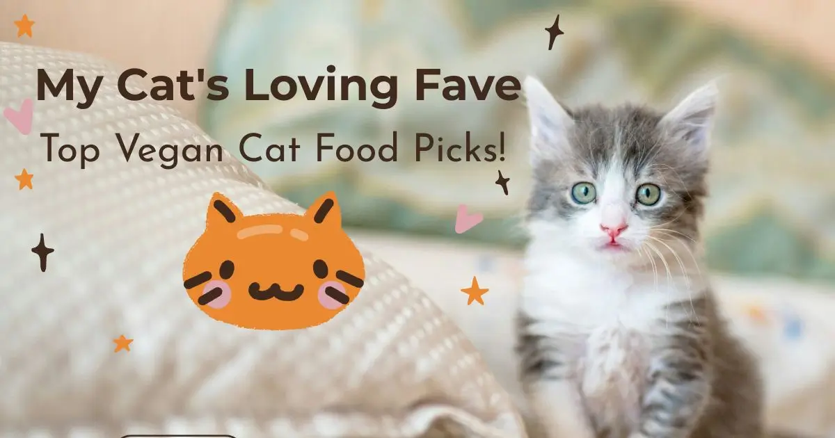 Struggling to find purrfect vegan food for your kitty? I searched high & low, and these are the meow-gical brands that won my cat's heart (and stomach)! Click to see my top picks!