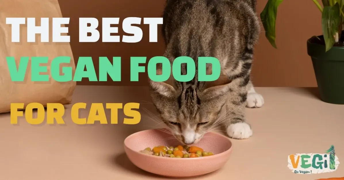 My Feline Friend's Fave! Top Vegan Cat Food Picks