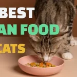 My Feline Friend's Fave! Top Vegan Cat Food Picks