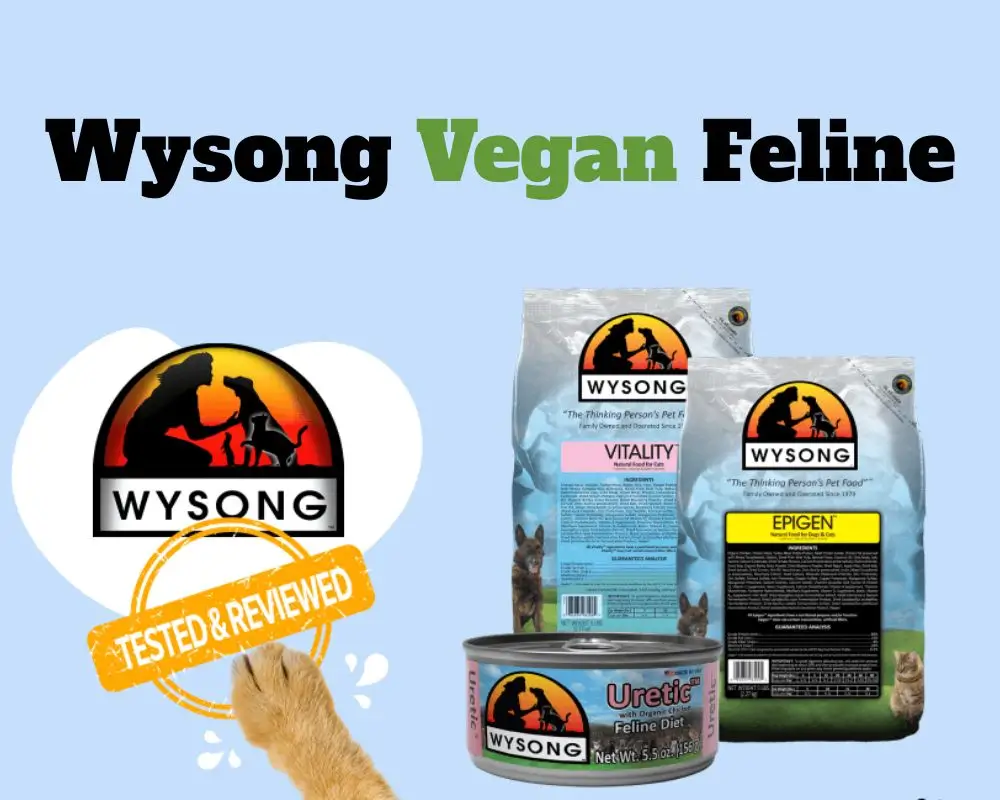 The second good brand in vegan cat food that we want to talk about in detail is the Wysong Vegan Feline brand, which focuses on the production of dry dog and cat food and provides all your pet's needs. Vegan cat food is also available from this brand, which is balanced and will not harm your pet.
